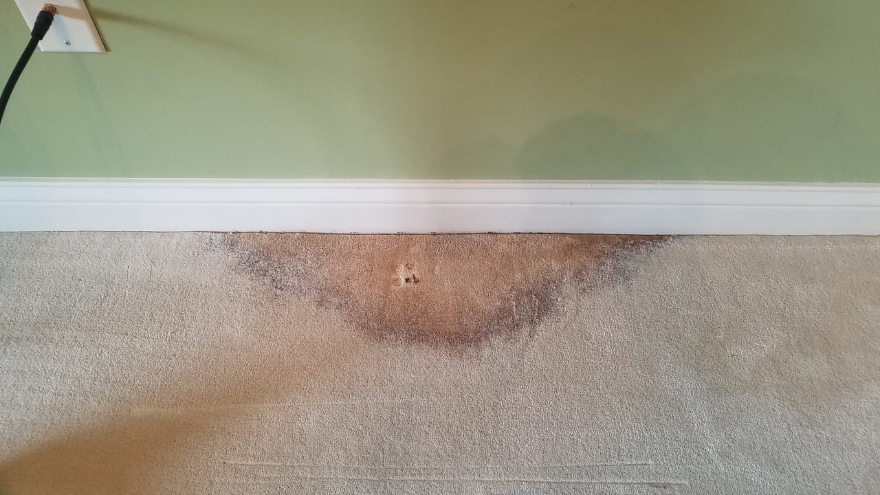 Water stain along a baseboard before