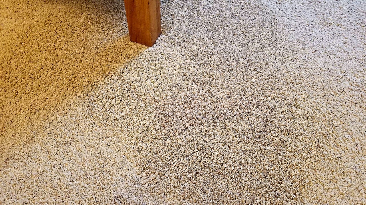 Bleach on beige after cleaning by Langenwalter