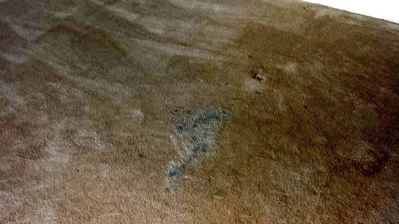 Blue acrylic paint before