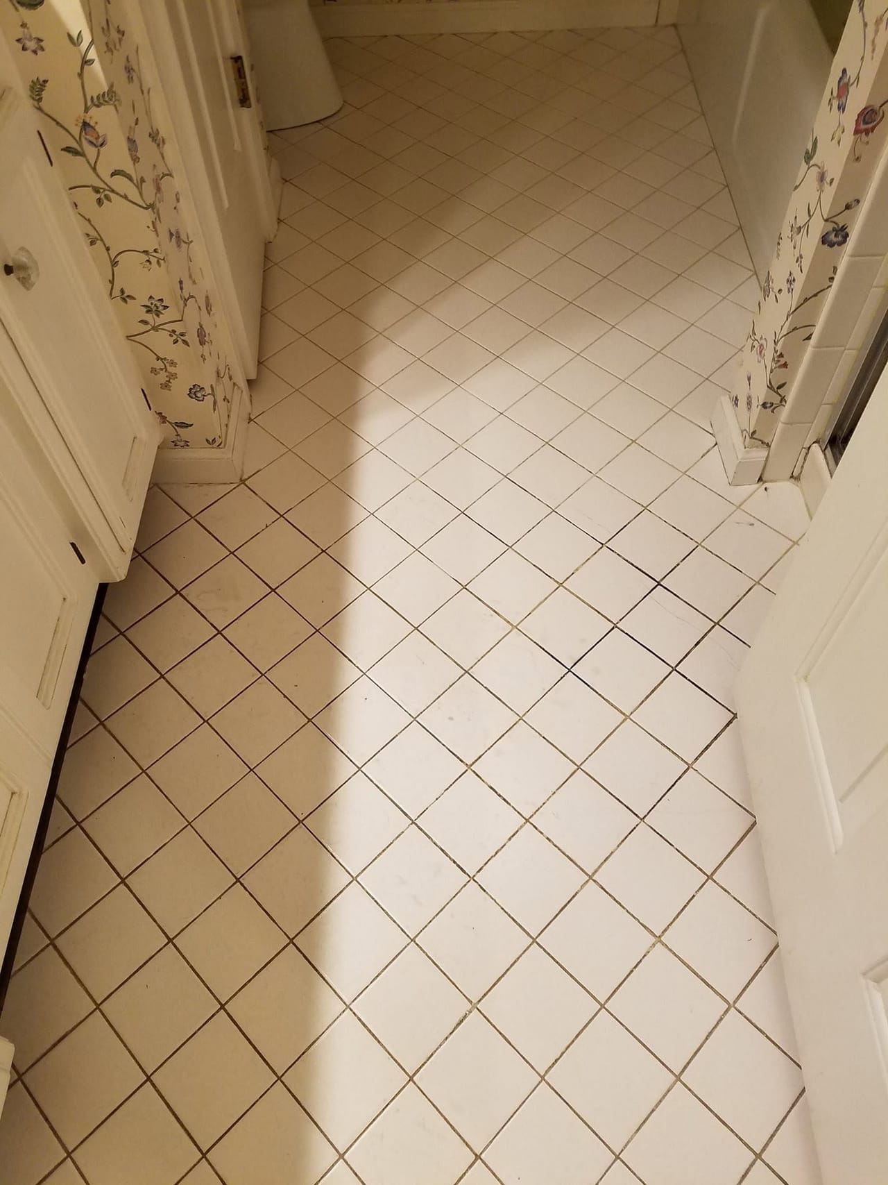 Dark grout lines on bathroom tile before