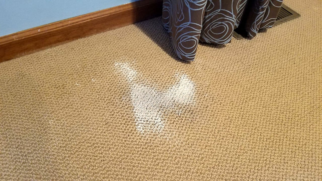 Diaper cream before