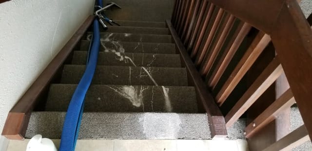 Paint spill on stairs before