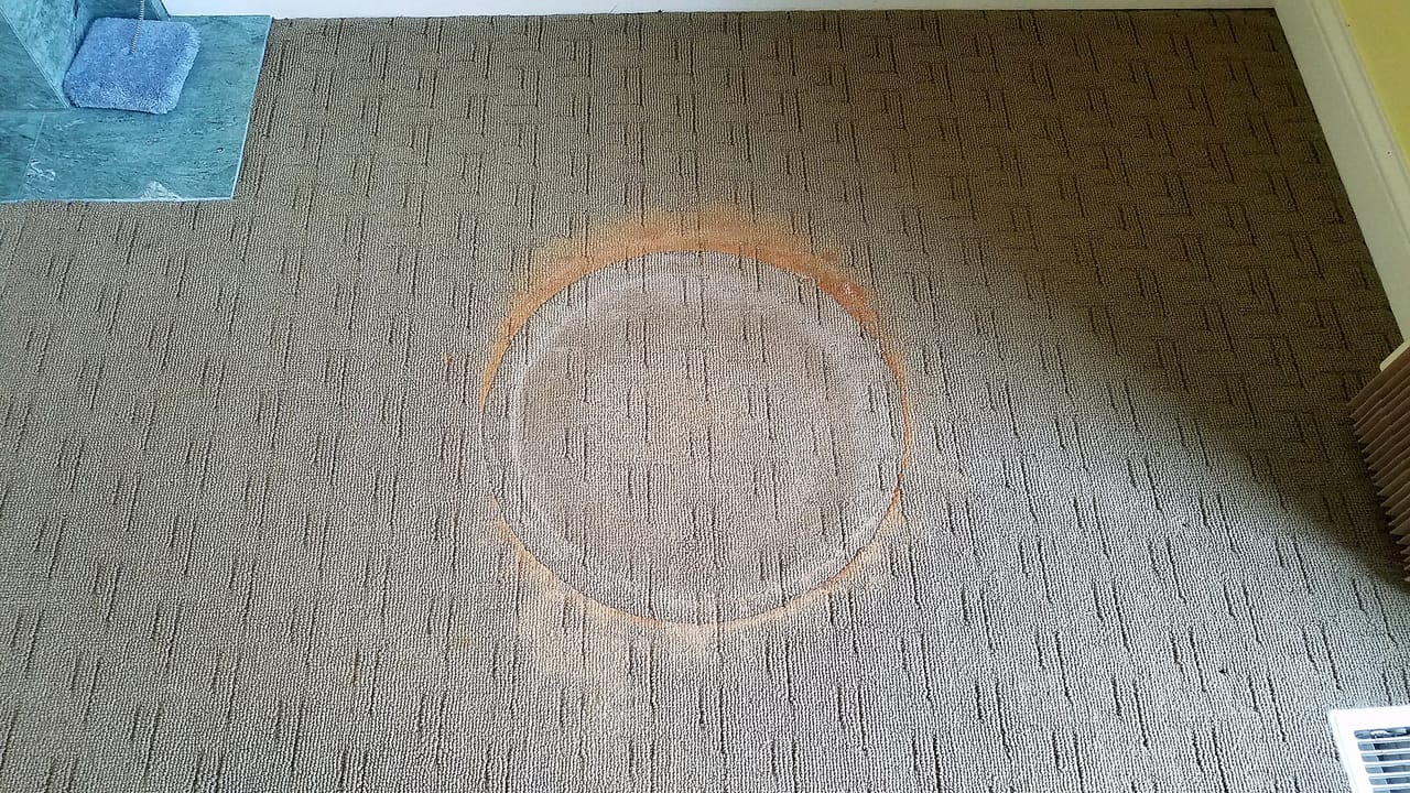 Plant ring before