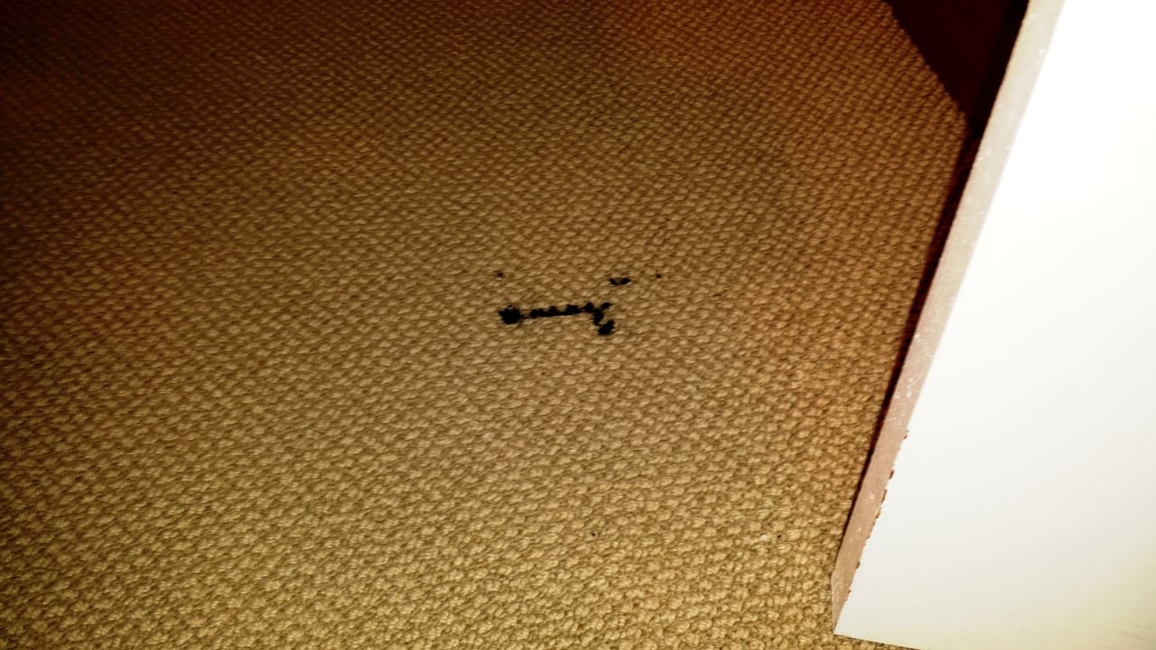 Printer toner before