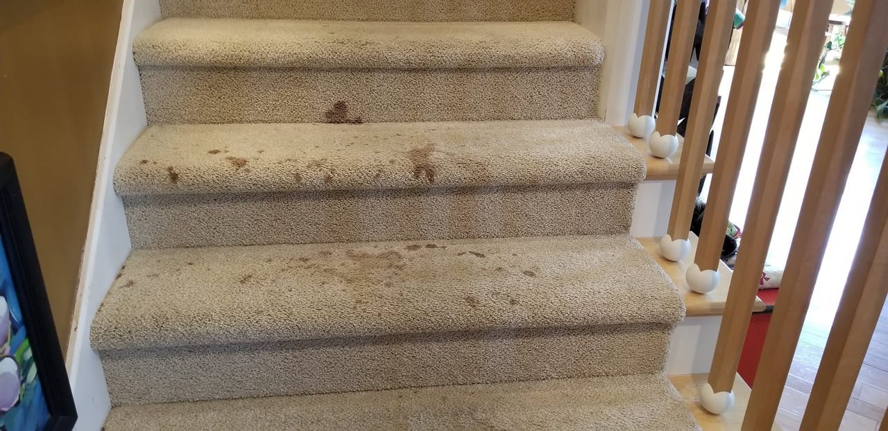 Coffee removal on stairs before