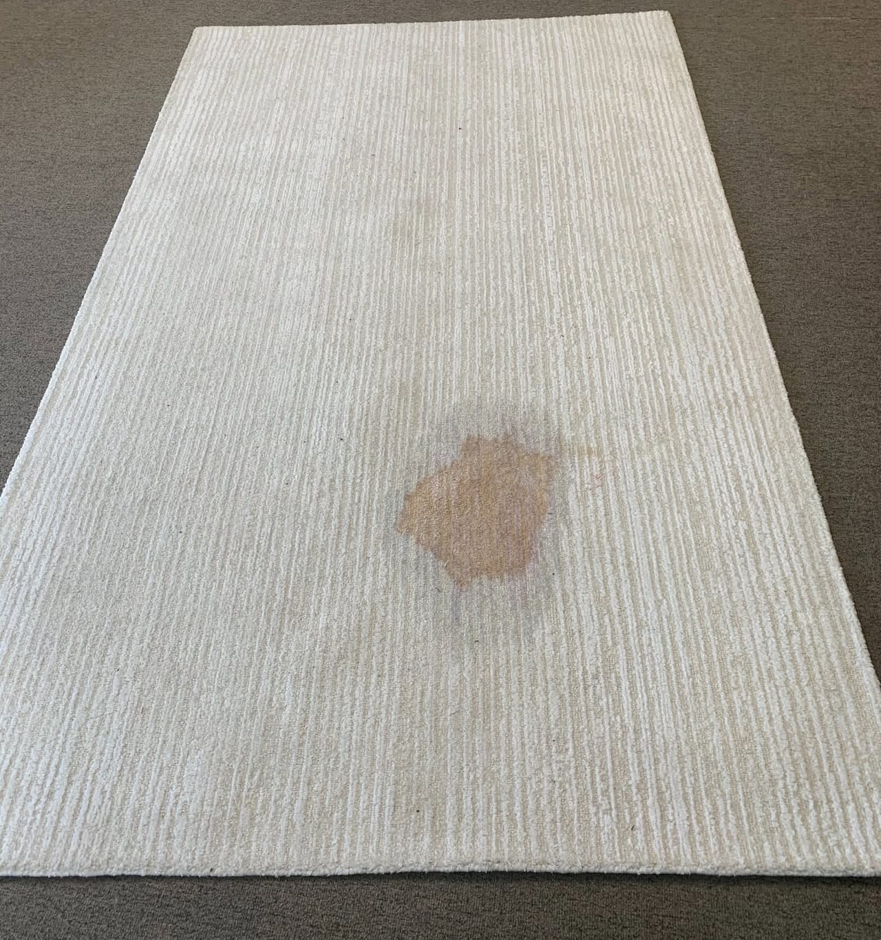 Spot on a white rug before