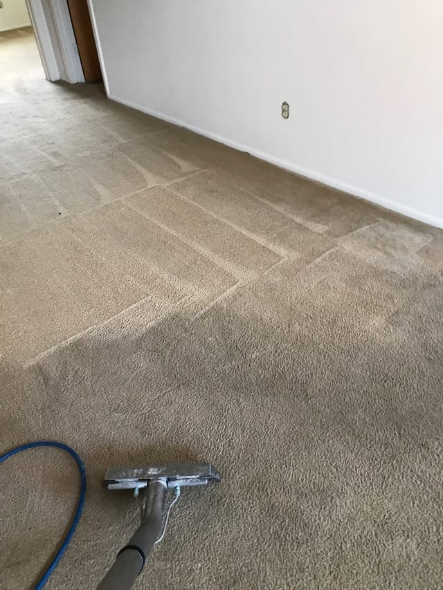 A carpet cleaning wand on a room's carpet, with a clear line between the cleaned half and the half not yet cleaned