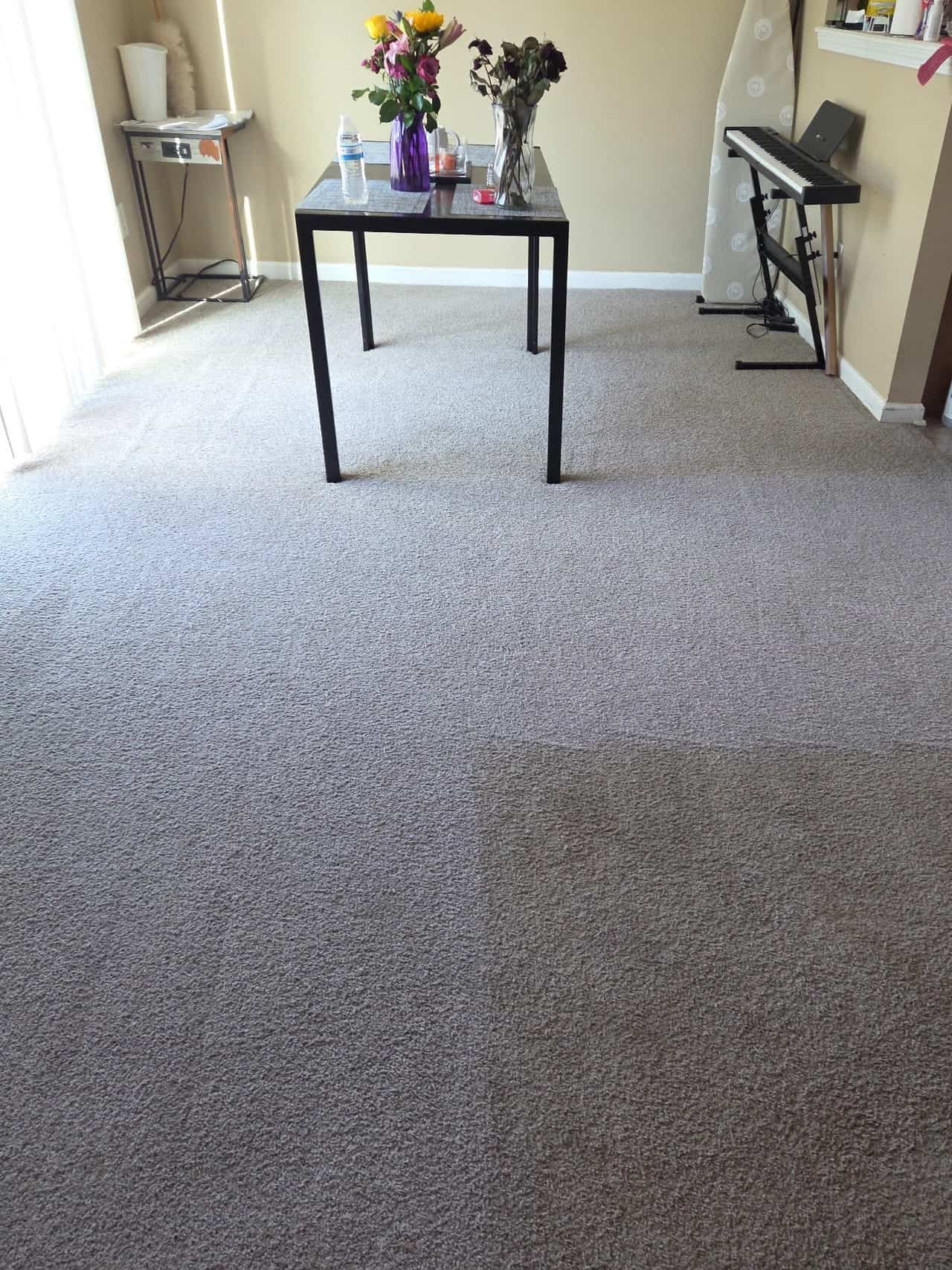 Living room carpet halfway through cleaning, comparing Langenwalter's cleaning with another company's.