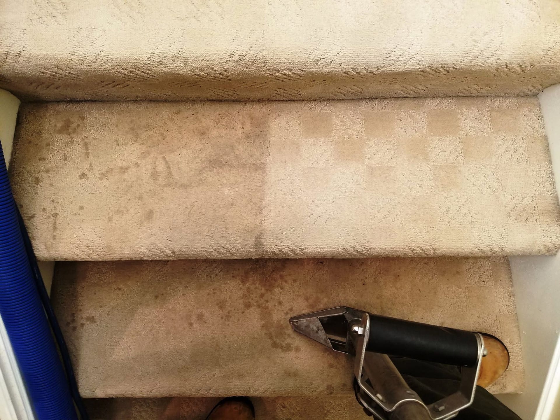 A cleaning wand on carpeted stairs, with the cleaned treads visibly lighter than the rest